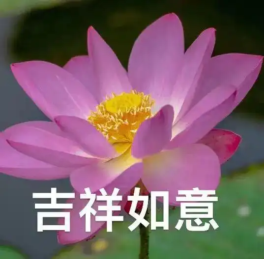 趣福建,嗨一夏福建的夏,甚荷我意