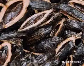 为何癌症发病率越来越高,医生提醒这5种食物最好少吃