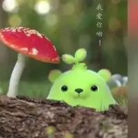萌芽熊童子的头像大全微信头像图片大全