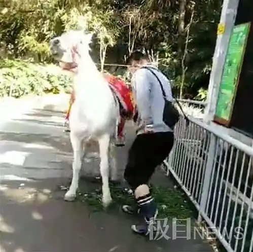 福建一动物园内白马遭暴打,园方称系商户殴打自有马匹