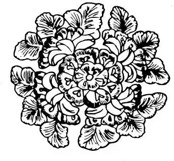 盛开花卉剪纸图纹素材ai免费下载编号5202108红动网