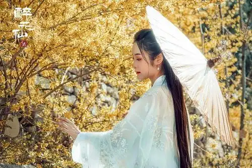 醉花仙富士xt3与古风写真