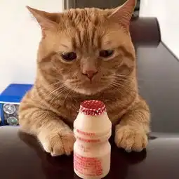 也不知道为什么,忧愁总围绕着我