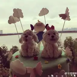 测试一个超长简介的文章