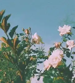 文艺投稿一个有温度的故事
