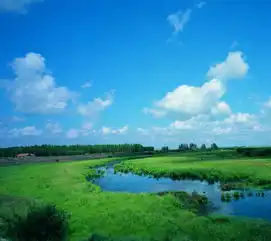 堆糖,美好生活研究所