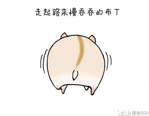 家有小鼠我画的我家6仓鼠的漫画