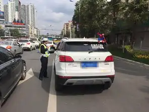 遂宁司机们注意啦蜘蛛侠趴车顶罚100元记2分