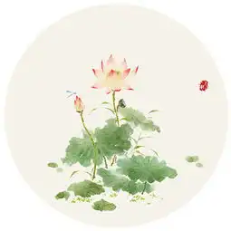 微信圆形花草唯美头像大全2018短暂时光带走的是幸运