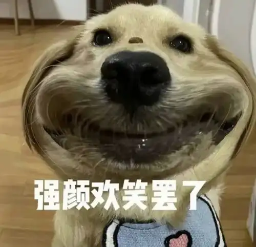 上班要吃的苦,空调霸凌算一个