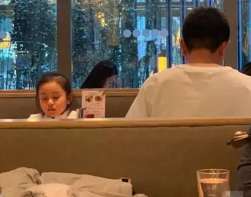 贾乃亮甜馨用餐被偶遇,甜馨看菜单模样认真