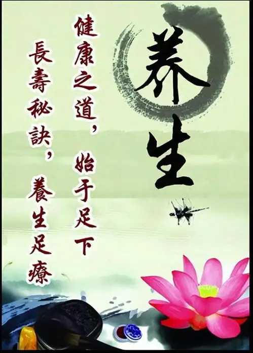 养生的简介与理解