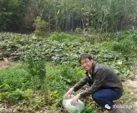 有一望山的小院,门前有块自己的土地,自己汲水,自己种菜