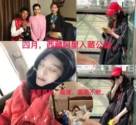 粉丝怒斥范冰冰怀孕谣言,四月还在西藏高原做公益