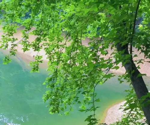 风光不输广西,避暑不输贵州,江西的小县城,却被人遗忘,离赣州仅46公里