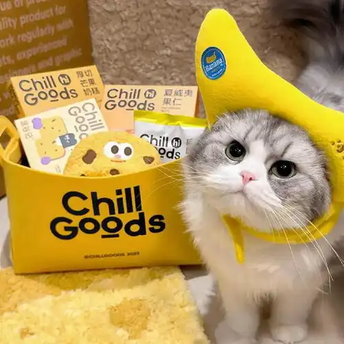wechat搞怪猫咪头像