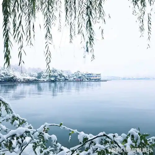 雪后的西湖有种江南女子独特的美高贵典雅而又神秘