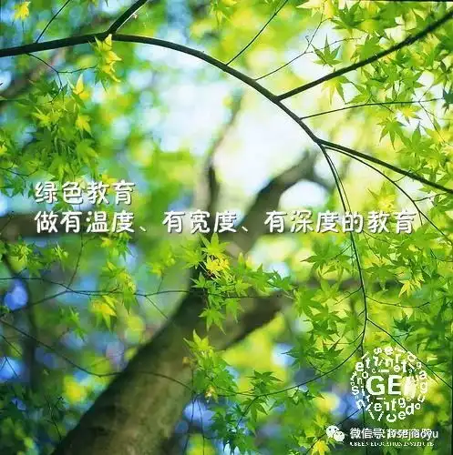 阳光教育铸品牌凤舞九天写辉煌西安交大阳光中学特色发展纪实