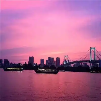 测试一个超长简介的文章