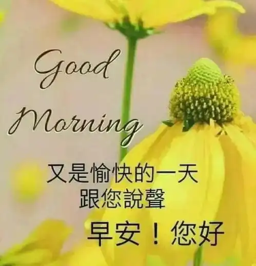 微信问候语早上好表情图片清晨励志问候语及关心话大全