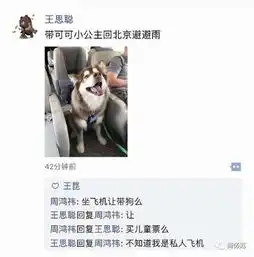 你用什么微信头像,就是什么人