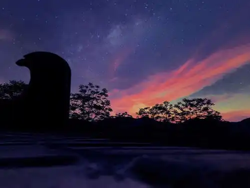 星空露营秀美洛宁活动开启