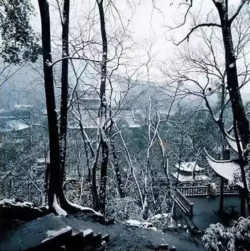 他卖掉公司隐居寺庙9年,却不小心用一张照片捧回摄影界奥斯卡