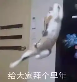 临清人今年春晚看没看,最全春晚段子集锦送上再乐呵一回