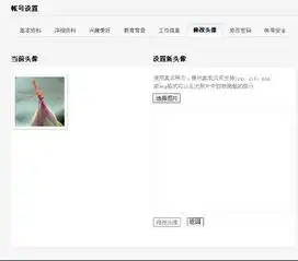 为什么我的百度空间里不能设置头像