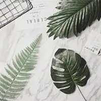 测试一个超长简介的文章