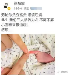 日报王丽坤现身民政局薛之谦一家罕见同框杨幂生图被嘲