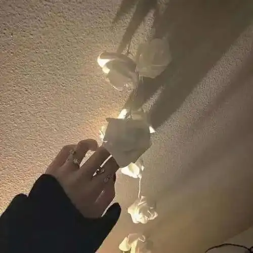 唯美的句子,半窗疏影,一梦千年,琴歌萧萧笛声怜一念
