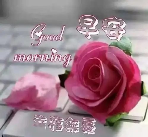 祝福大家早上好的问候语图片表情合集早晨好祝福句子简短