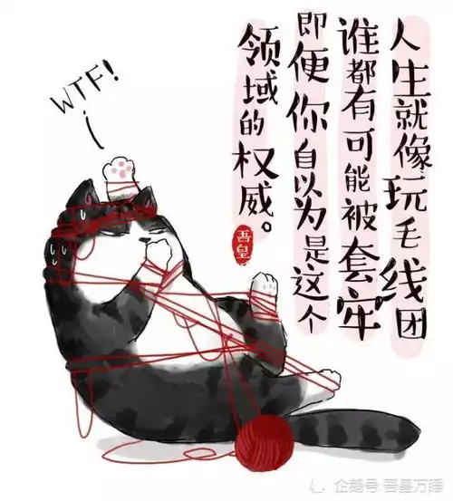吾皇朕可不是那么随便的猫,不信你看