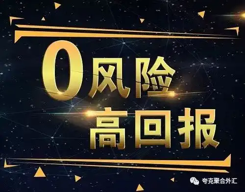 你所不知道的庞氏骗局中