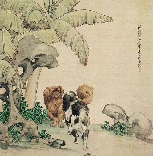 9月运势建议生肖猴,鸡减少抱怨,议论他人,生肖狗勿太重面子