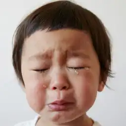 宝宝被打了,该不该还手