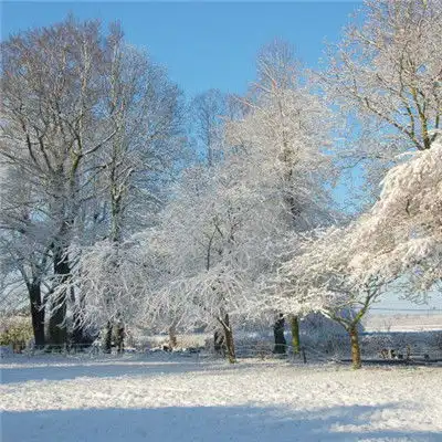 冬天唯美的雪景头像,下雪的冬天是极其美丽的