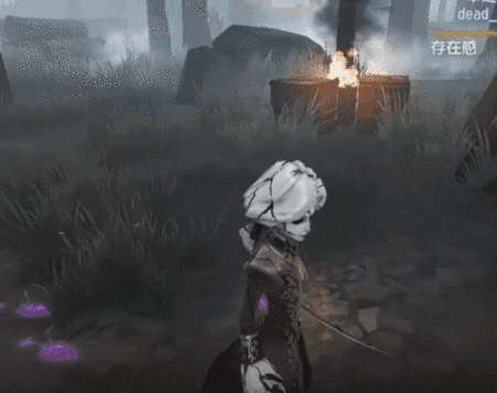 第五人格笔尖柔情怎么样笔尖柔情特效预览
