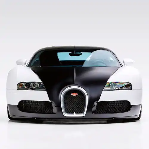 真肥,但不影响ta的美观真霸气bugattiveyron