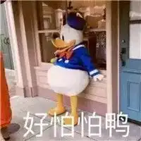 快报丨收假回来吓一跳,家里居然来了一群不速之客....