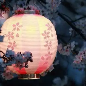 保定军校广场图片保定
