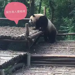 测试一个超长简介的文章