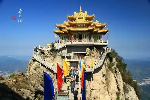 早间消费新闻滴滴公交上路旋转真马复出