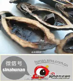 向帅0205的微博微博