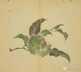 53幅手绘画搭配诗句,这么背诗简直美翻了
