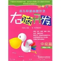 右脑开发中级篇潜能革命幼儿学前全脑开发