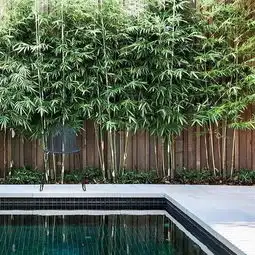 以竹造园50例,惊艳你的庭院