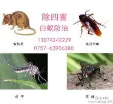 黄页88高清图片