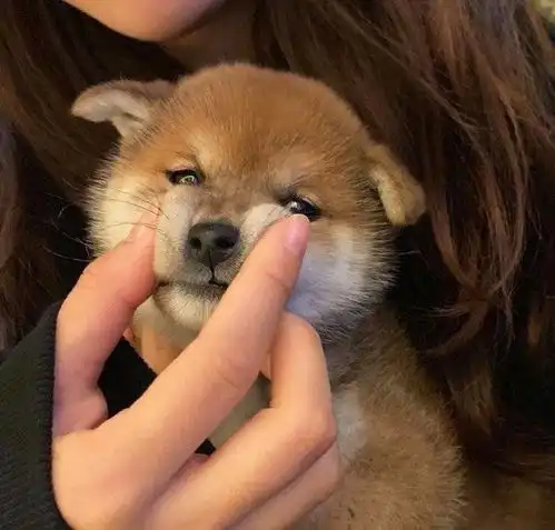 每个人心里总会有一个人